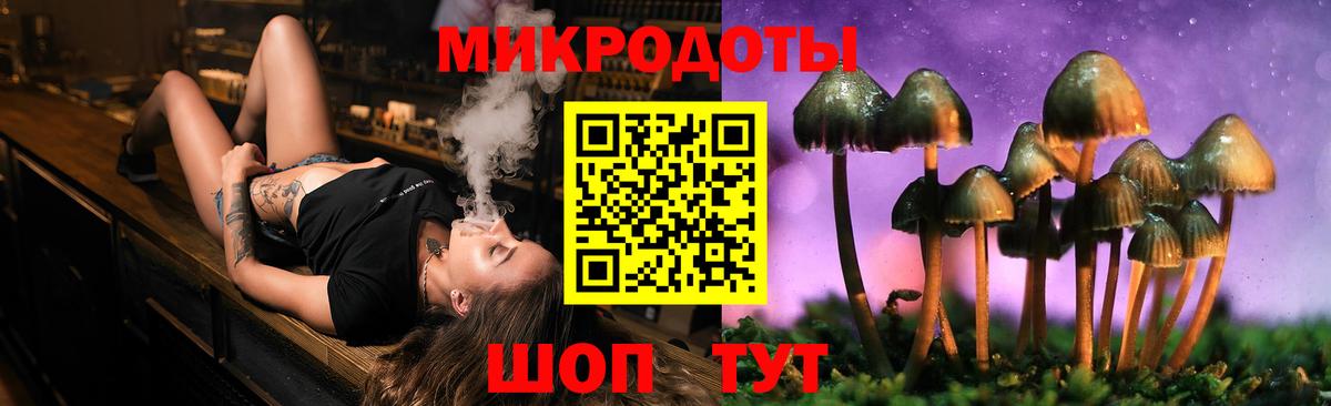 Псилоцибиновые грибы мицелий  купить наркотик  Елец  Вход с VPN 